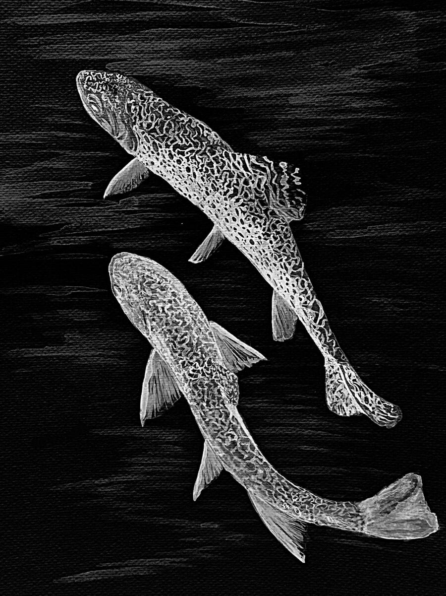 Ghost Fish by Addison Rael Two intricately patterned fish illustrated in black and white, appearing to drift through a dark, textured background. Their delicate, translucent forms and flowing movement create an ethereal, ghost-like presence in this minimalistic composition.